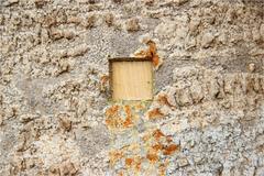 Strychnos nux-vomica